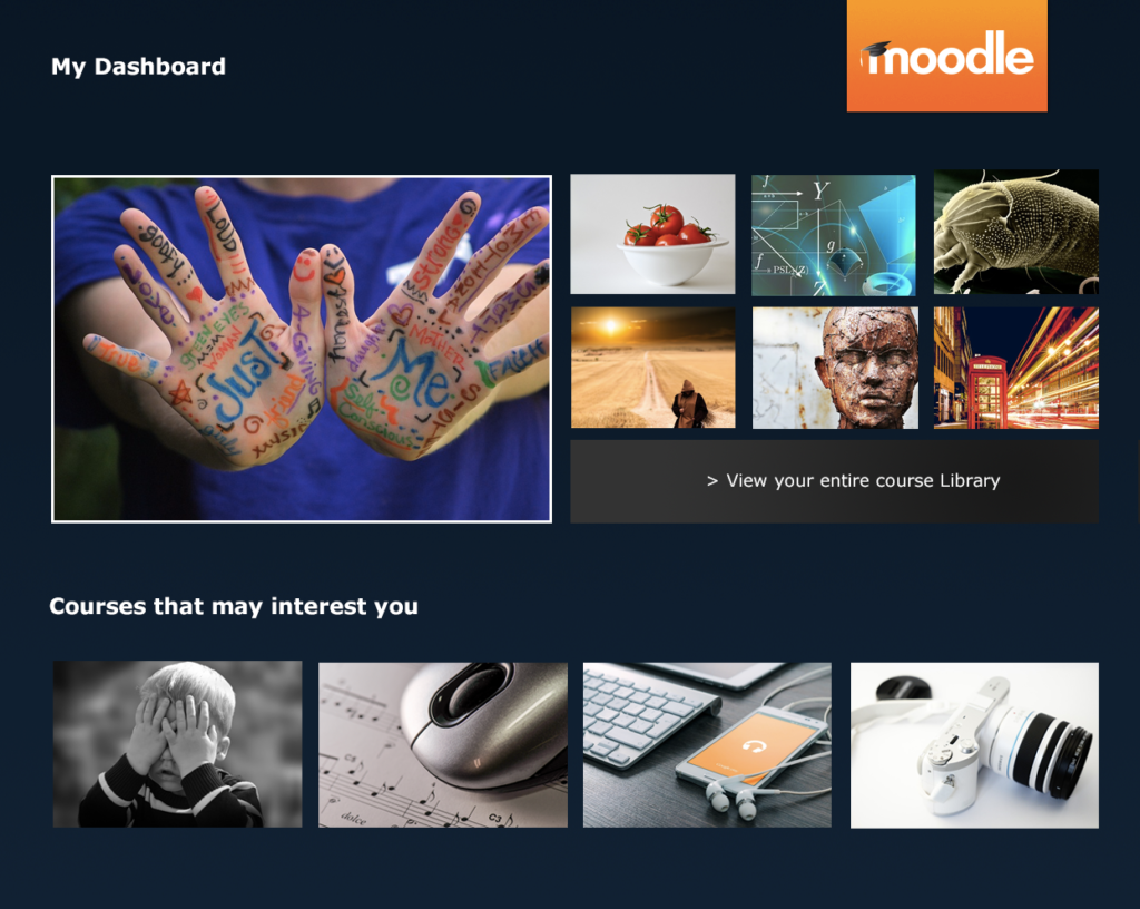 moodle_netflix