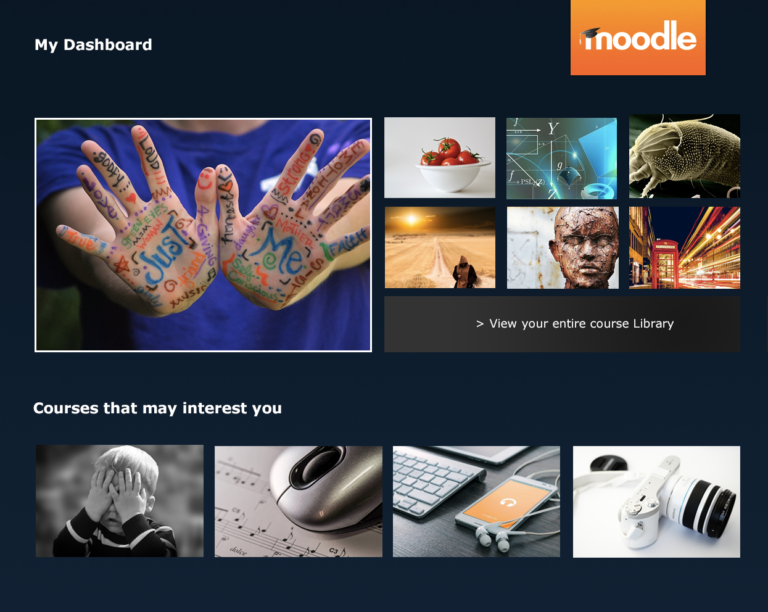 What if the Moodle UX was like Netflix?